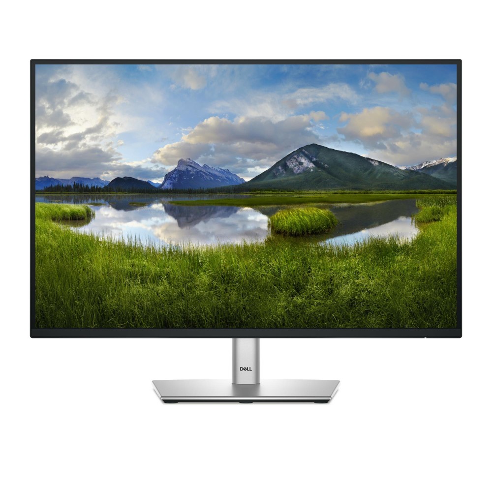 LCD Monitor|DELL|P2425E|24