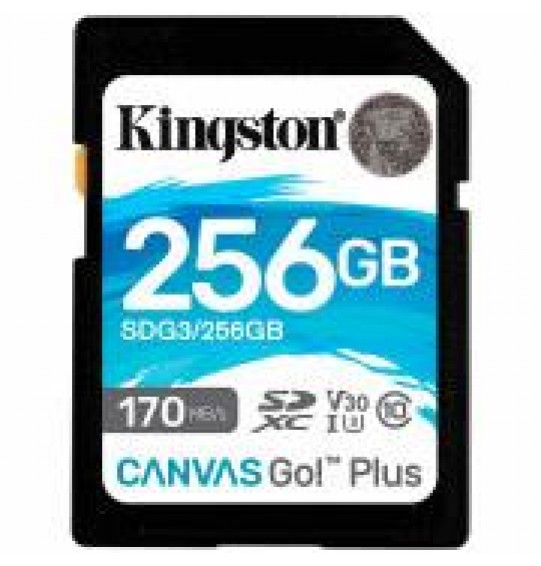 MEMORY SDXC 256GB UHS-I/SDG3/256GB KINGSTON