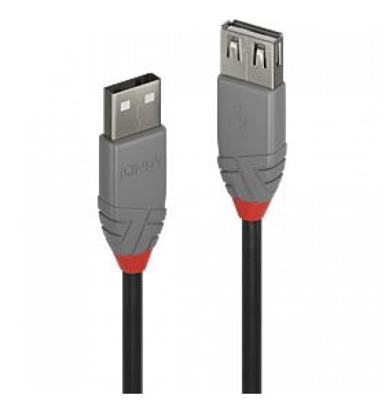 CABLE USB2 TYPE A 0.2M/ANTHRA 36700 LINDY