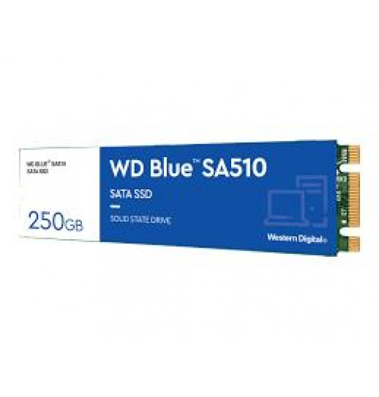 SSD | WESTERN DIGITAL | Blue SA510 | 250GB | M.2 | SATA 3.0 | Write speed 440 MBytes/sec | Read speed 555 MBytes/sec | 2.38mm | TBW 100 TB | MTBF 1750000 hours | WDS250G3B0B