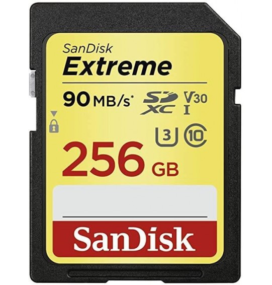 MEMORY SDXC 256GB UHS-1/SDSDXVV-256G-GNCIN SANDISK