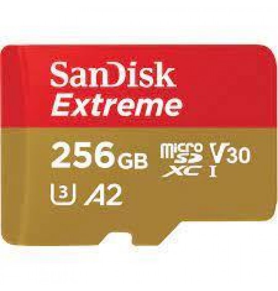 MEMORY MICRO SDXC 256GB UHS-I/W/A SDSQXAV-256G-GN6MA SANDISK