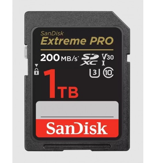 MEMORY SDXC 1TB UHS-I/SDSDXXD-1T00-GN4IN SANDISK