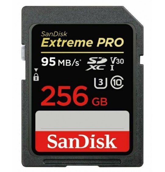 MEMORY SDXC 256GB UHS-1/SDSDXXD-256G-GN4IN SANDISK