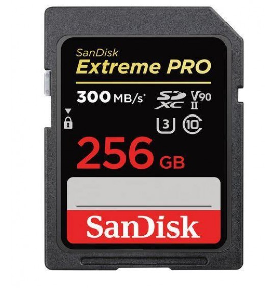 MEMORY SDXC 256GB UHS-II/SDSDXDK-256G-GN4IN SANDISK