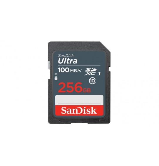 MEMORY SDXC 256GB UHS-I/SDSDUNR-256G-GN3IN SANDISK