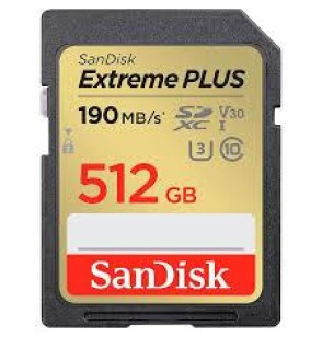 MEMORY SDXC 512GB UHS-1/SDSDXWV-512G-GNCIN SANDISK