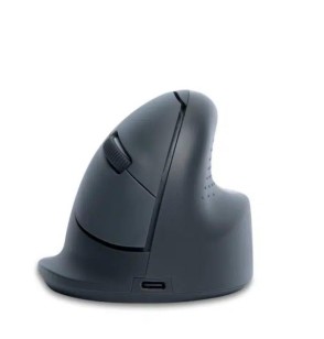 MOUSE USB OPTICAL WRL BASIC/R. GREY RGOHEBAMRWL R-GO TOOLS