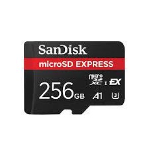 MEMORY MICRO SDXC 256GB UHS-I/SDSQXFN-256G-GN4NN SANDISK