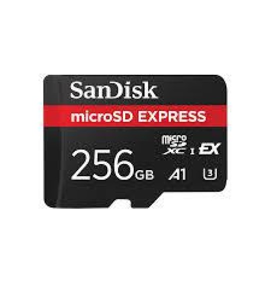 MEMORY MICRO SDXC 256GB UHS-I/SDSQXFN-256G-GN4NN SANDISK
