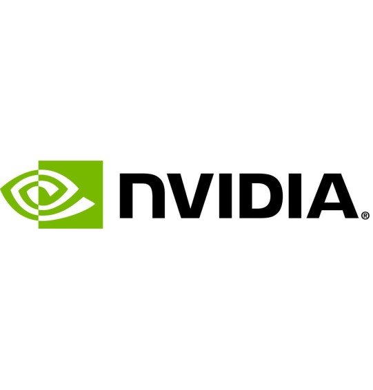 Graphics Card | NVIDIA | 24 GB | GDDR6 | 192 bit | 699-2G193-0200-XXX