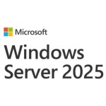 SW OEM WIN SVR 2025 CAL/ENG 1PK 1CLT DEV EP2-25225 MS