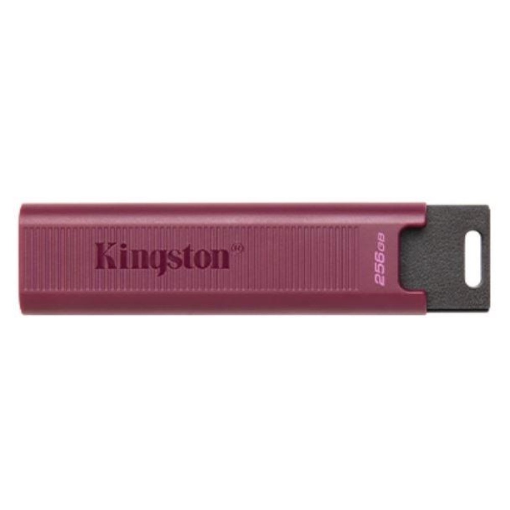 MEMORY DRIVE FLASH USB3.2/256GB DTMAXA/256GB KINGSTON