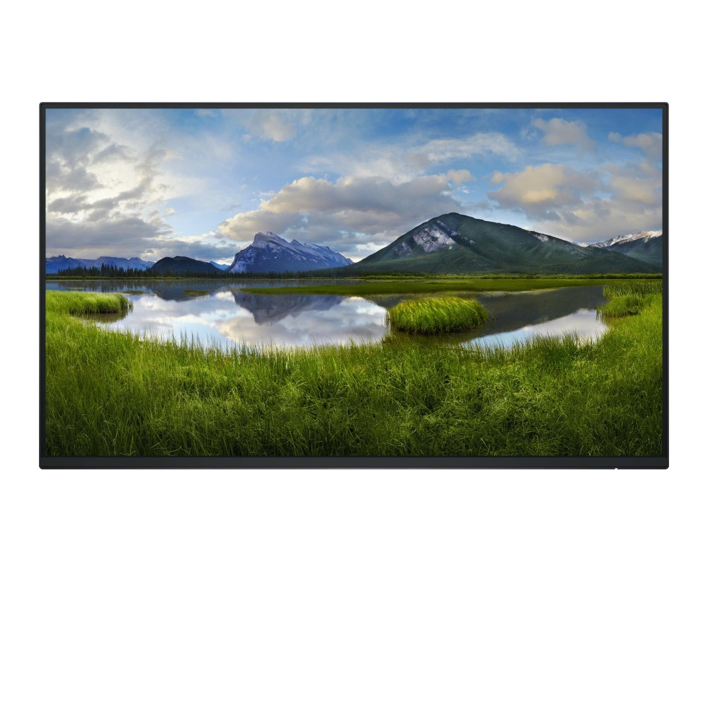 LCD Monitor|DELL|P2425H Without Stand|23.8"|Business|Panel IPS|1920x1080|16:9|100Hz|Matte|8 ms|Swivel|Pivot|Height adjustable|Tilt|210-BMTB