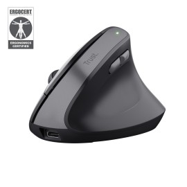 MOUSE USB OPTICAL WRL BAYO II/ERGO BLK 25145 TRUST