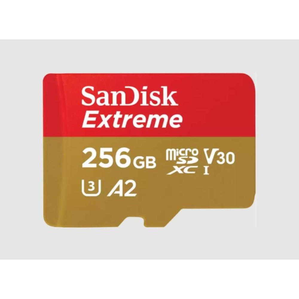 MEMORY MICRO SDXC 256GB UHS-I/W/A SDSQXAV-256G-GN6MA SANDISK