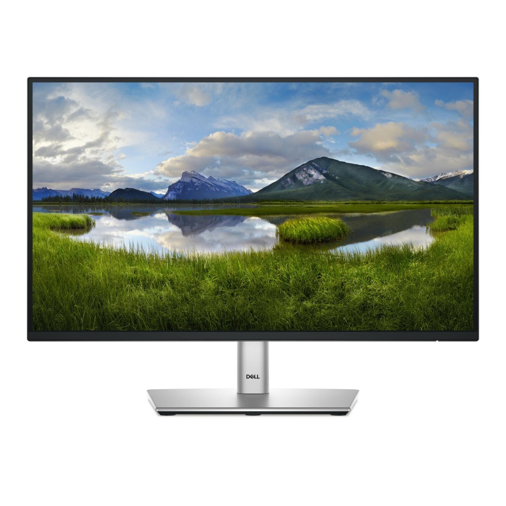 LCD Monitor|DELL|P2225H|21.5"|Business|Panel IPS|1920x1080|16:9|100 Hz|Speakers|Swivel|Pivot|Height adjustable|Tilt|210-BMHD