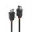 CABLE DISPLAY PORT 2M/BLACK 36492 LINDY