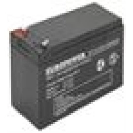 BATTERY 12V 7.2AH VRLA/EP7.2-12 T2 EUROPOWER EMU