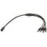 POWER SPLITTER 12V/WWG-5.5/4 GENWAY