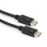CABLE DISPLAY PORT 5M/CC-DP2-5M GEMBIRD