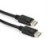 CABLE DISPLAY PORT 10M/CC-DP2-10M GEMBIRD