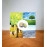 AROMA DIFFUSER ACC GEL DRY/SUMMER COP000856 STYLIES