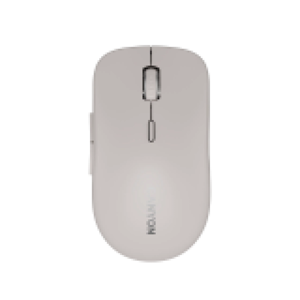 CANYON mouse MW-12 Dual band Wireless Beige