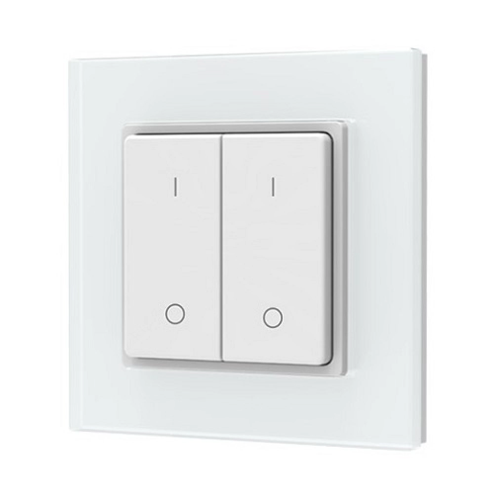 PF1-2(G) RF Remote Control, Single Color, 2 Zones