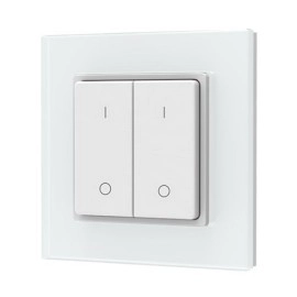 PF1-2(G) RF Remote Control, Single Color, 2 Zones