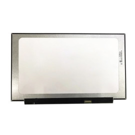 LCD Screen 16.1,