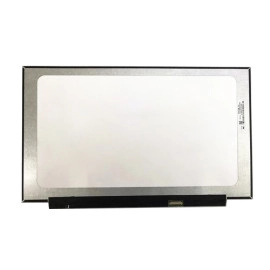 LCD Screen 16.1,