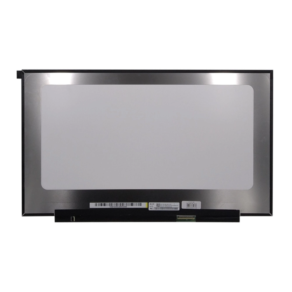 LCD Screen 17.3