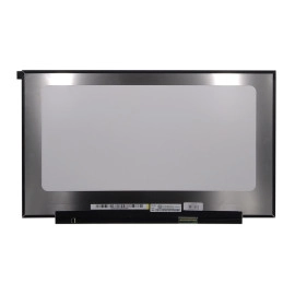 LCD Screen 17.3