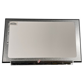LCD Screen 16.1,