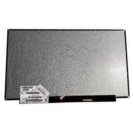 LCD Screen 16.1,