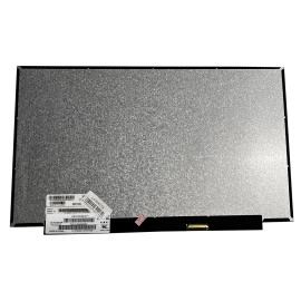 LCD Screen 16.1,