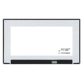 LCD Screen 15.6