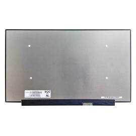 LCD Screen 17.3