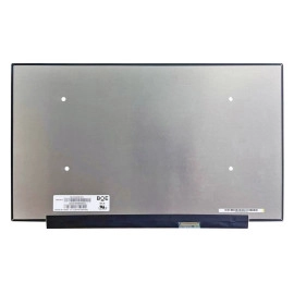 LCD Screen 17.3