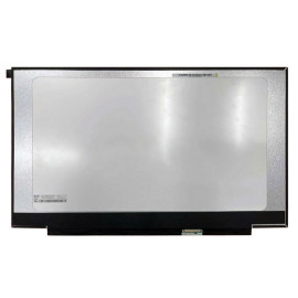 LCD Screen 17.3