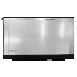 LCD Screen 17.3
