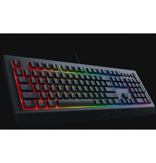Gaming keyboard Razer Cynosa V2 EN / RU